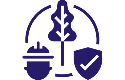 Diploma In Environment Health Safety Engineering